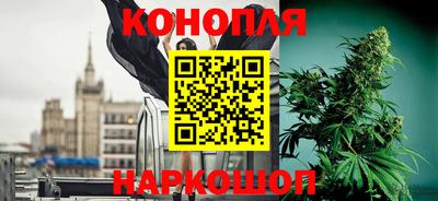 крисы Дмитров