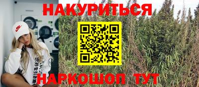 крисы Дмитров